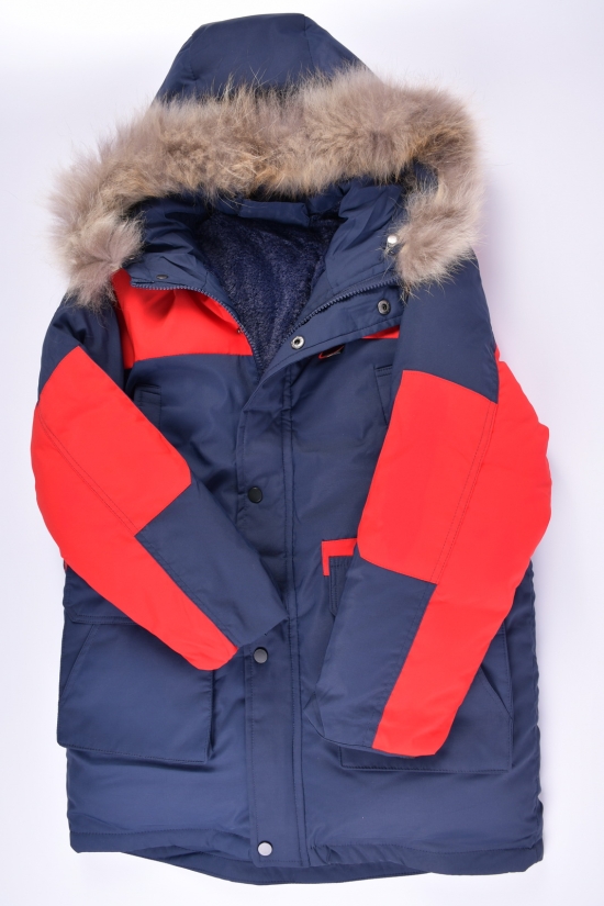 Куртка для мальчика зимняя (цв.т.синий) из плащевки с натуральной опушкой Рост в наличии : 164, 176 арт.2086