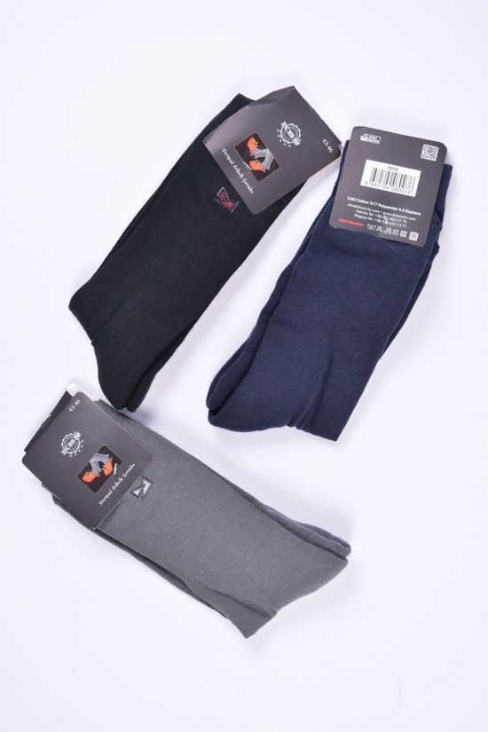 Шкарпетки чоловічі махрова устілка (розмір 43-46) "KBS" арт.1-20036