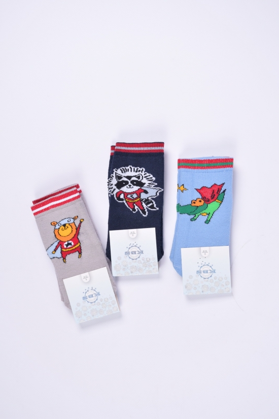 Шкарпетки махрові для хлопчика (0) KBS розмір 12-14 арт.3-20270