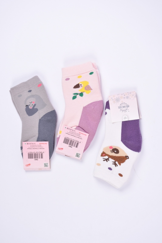Шкарпетки для дівчинки махрові (1-2) "KBS" розмір 16-18 арт.3-20253