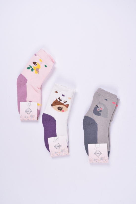 Шкарпетки для дівчинки махрові (3-4) "KBS" розмір 20-22 арт.3-20253