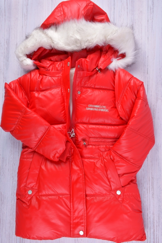 Куртка для дівчинки (кол. червоний) болонева на хутрі Зріст в наявності : 128 арт.2115