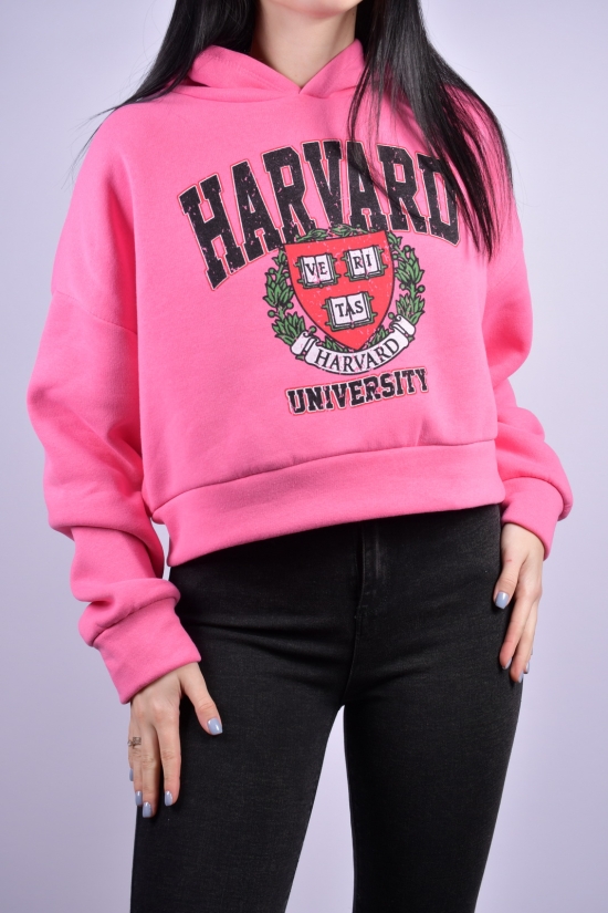 Худи женское (цв.розовый) трикотажное на флисе "MADAME DREAM" Размеры в наличии : 42, 44, 46 арт.Harvard
