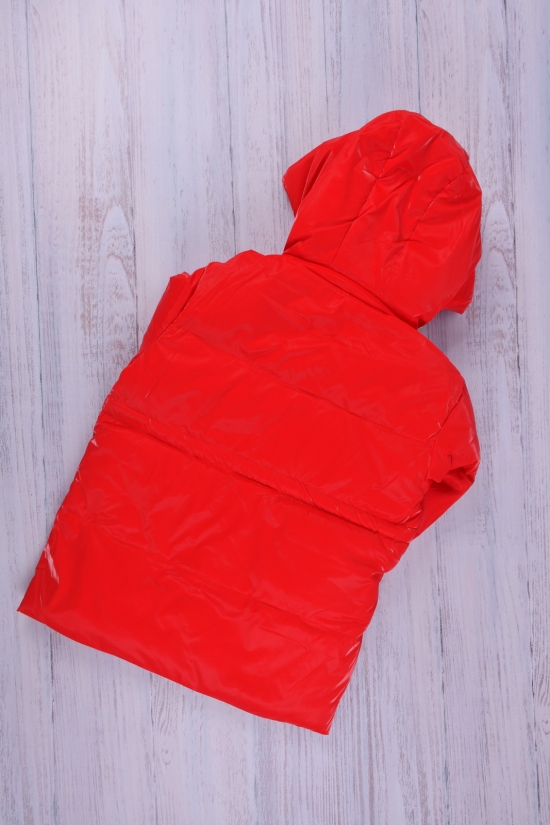 Куртка для девочки (цв.красный) зимняя из плащевки Рост в наличии : 98, 104, 116, 122 арт.2100