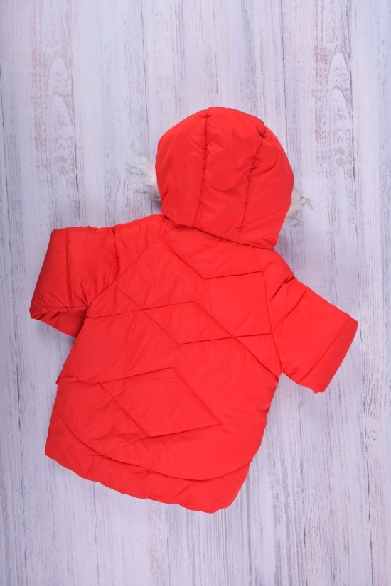 Куртка для девочки (цв.красный) из плащевки зимняя Рост в наличии : 92, 104 арт.21-32
