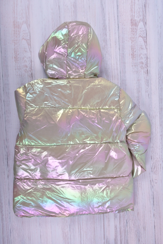 Куртка для девочки (цв.серебро) болоневая зимняя Рост в наличии : 170, 176 арт.2022-4
