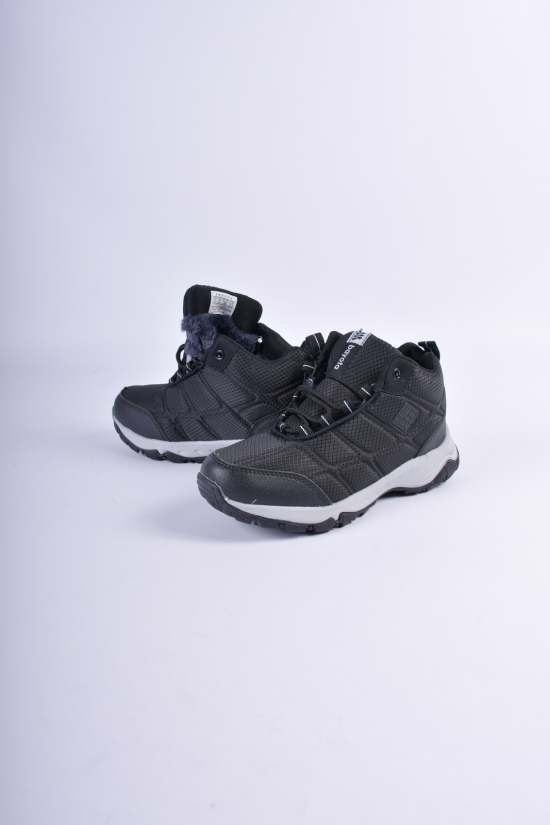 Кросівки зимові на хутрі BAYOTA Розміри в наявності : 37, 38, 40 арт.B9018-2