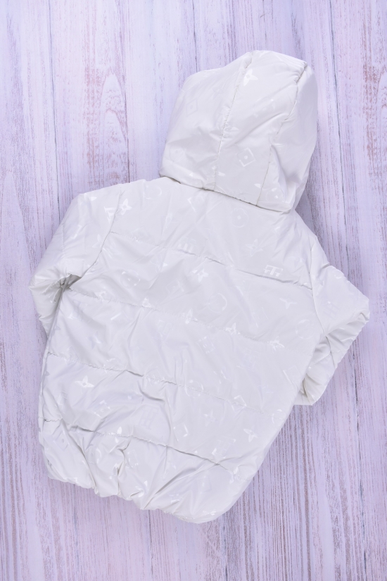 Куртка для дівчинки (кол. білий) демісезонна болонева Об'єм в наявності : 110 арт.ЛУИ ВИТОН
