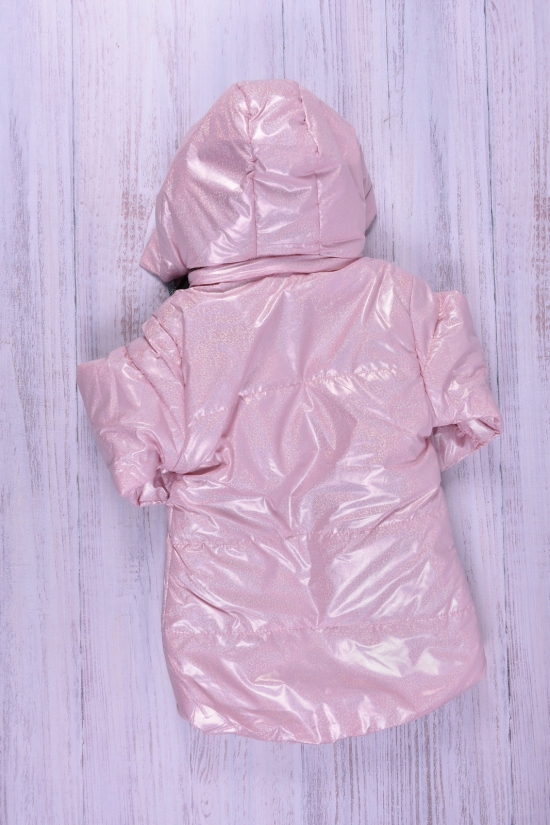 Куртка для девочки (цв.розовый) демисезонная болоневая Рост в наличии : 92, 104 арт.686
