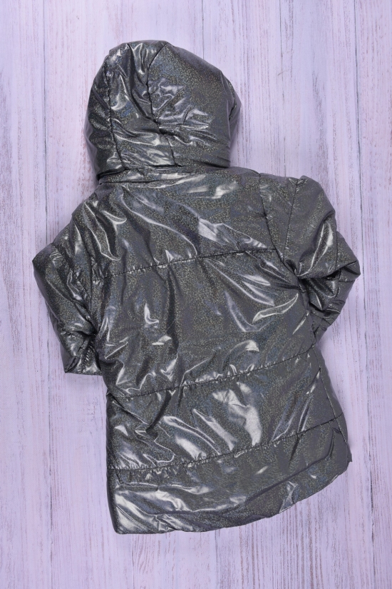 Куртка для девочки (цв.серый) демисезонная болоневая Рост в наличии : 98, 104 арт.686