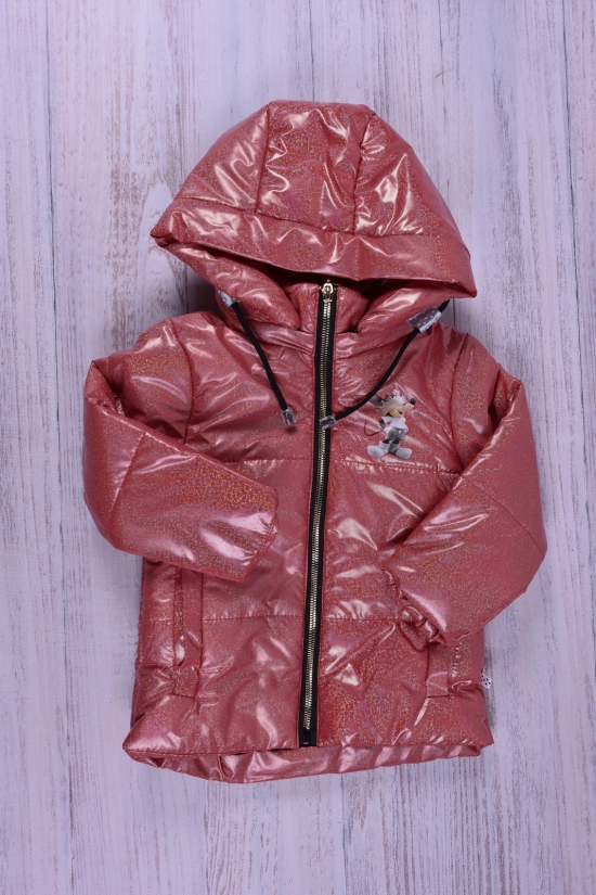 Куртка для дівчинки (кол. фуксії) демісезонна болонева Зріст в наявності : 80, 86, 104 арт.030