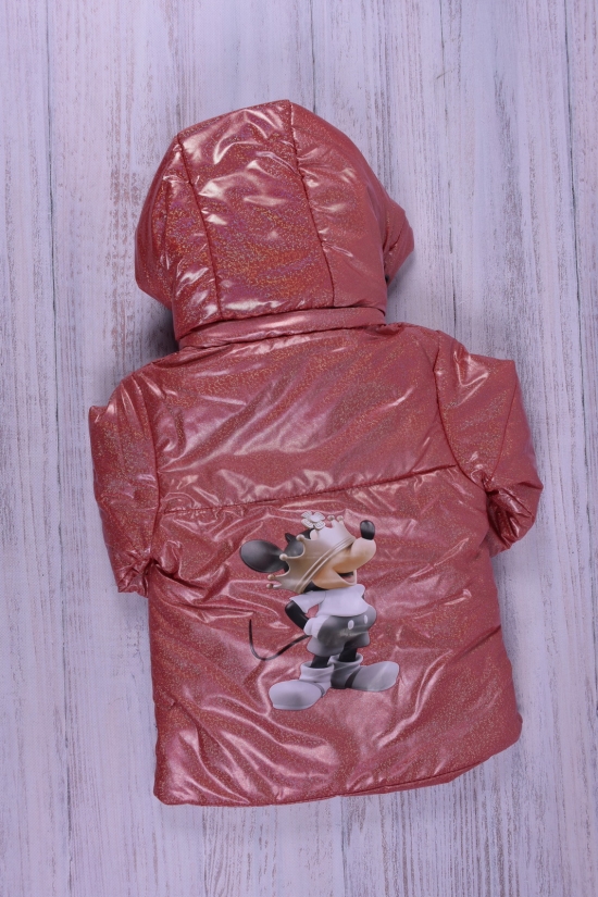 Куртка для девочки (цв.фуксии) демисезонная болоневая Рост в наличии : 80, 104 арт.030