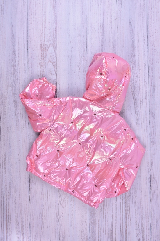 Куртка для девочки демисезонная (цв.розовый) болоневая Рост в наличии : 92, 98, 104, 110, 116 арт.07