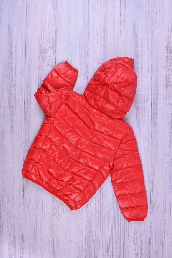 Куртка для девочки (цв.красный) болоневая Рост в наличии : 92, 98, 104, 110, 116 арт.013