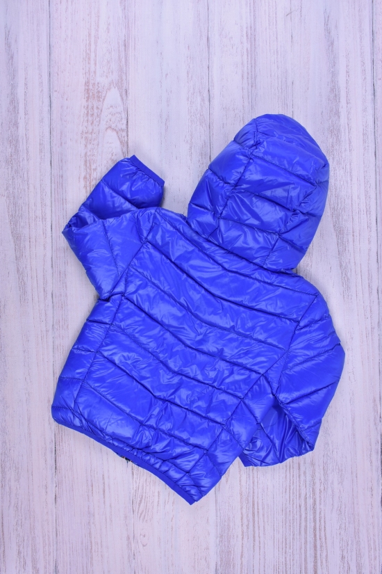 Куртка для девочки (цв.синий) болоневая Рост в наличии : 92, 104, 110, 116 арт.013