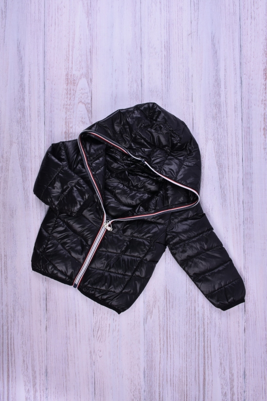 Куртка для дівчинки (кол. чорний) болонева Зріст в наявності : 92, 110 арт.013