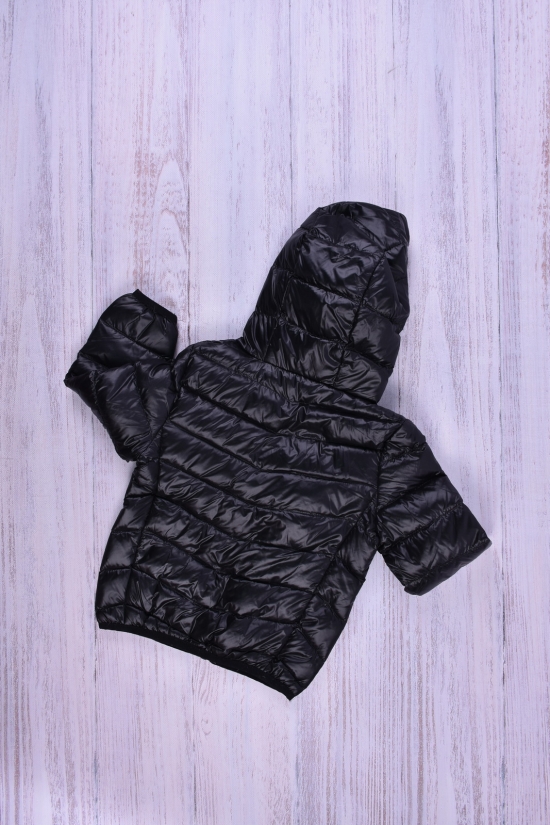 Куртка для девочки (цв.черный) болоневая Рост в наличии : 92 арт.013