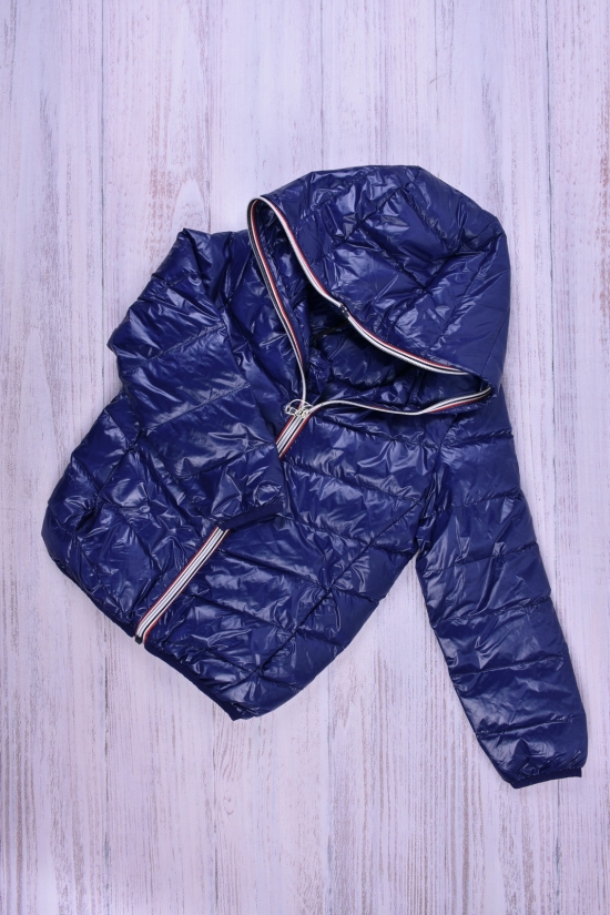 Куртка для дівчинки (кол. т. синій) Зріст в наявності : 92, 98, 104, 116 арт.013
