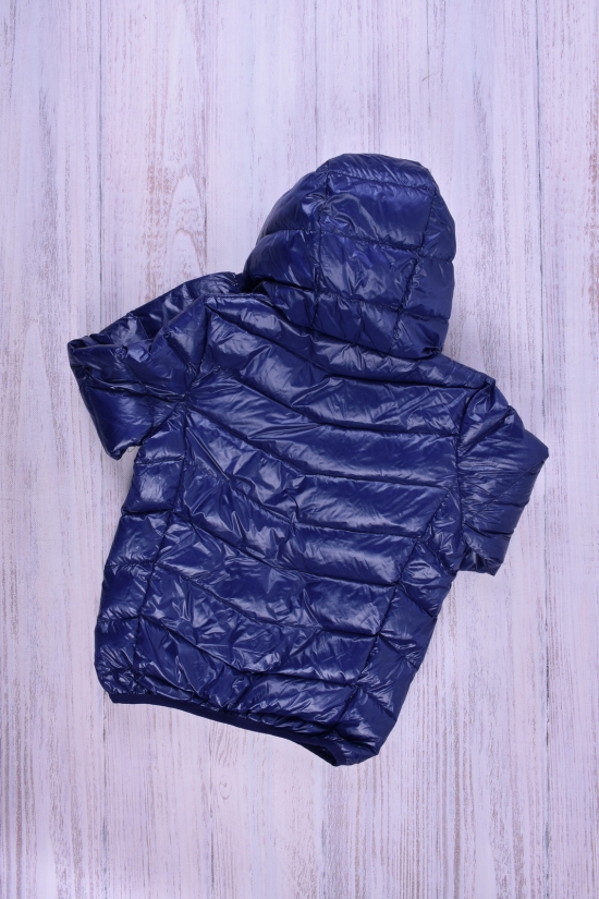 Куртка для девочки (цв.т.синий) болоневая Рост в наличии : 92, 104, 116 арт.013