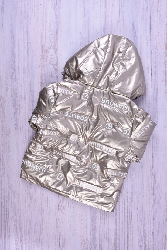 Куртка для дівчинки (кол. бронза) болонева Зріст в наявності : 98 арт.016