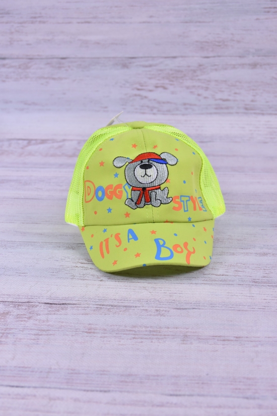 Кепка для мальчика (цв.салатовый) (окружность головы 48-50) арт.DOG