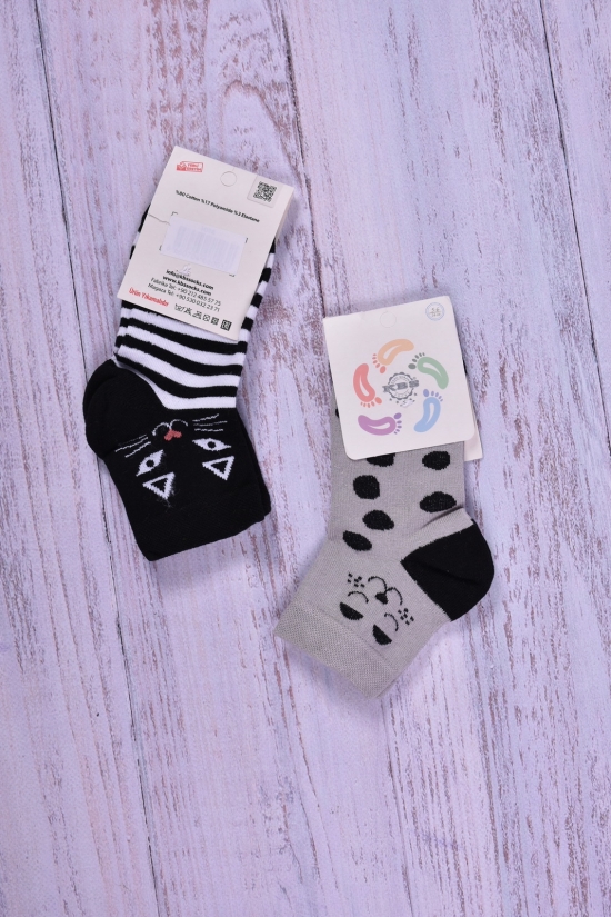 Шкарпетки для дівчинки антибактеріальні всесезонні KBS (5) р.24-26 арт.3-10589