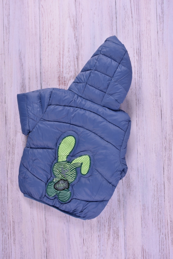 Куртка демисезонная для мальчика (цв.синий) с плащевки Рост в наличии : 86, 92, 98, 104 арт.1555