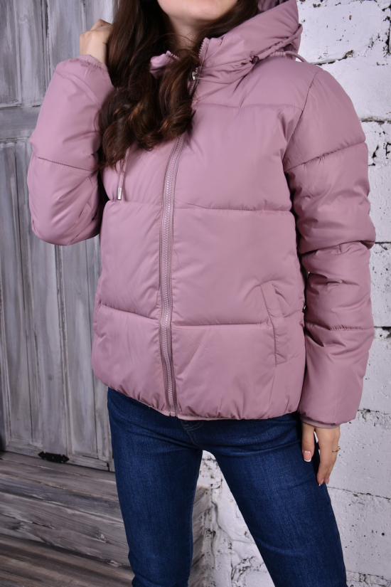 Куртка жіноча демісезонна (кол. пудри) болонева "UNIMOCO" Розміри в наявності : 42, 44 арт.979