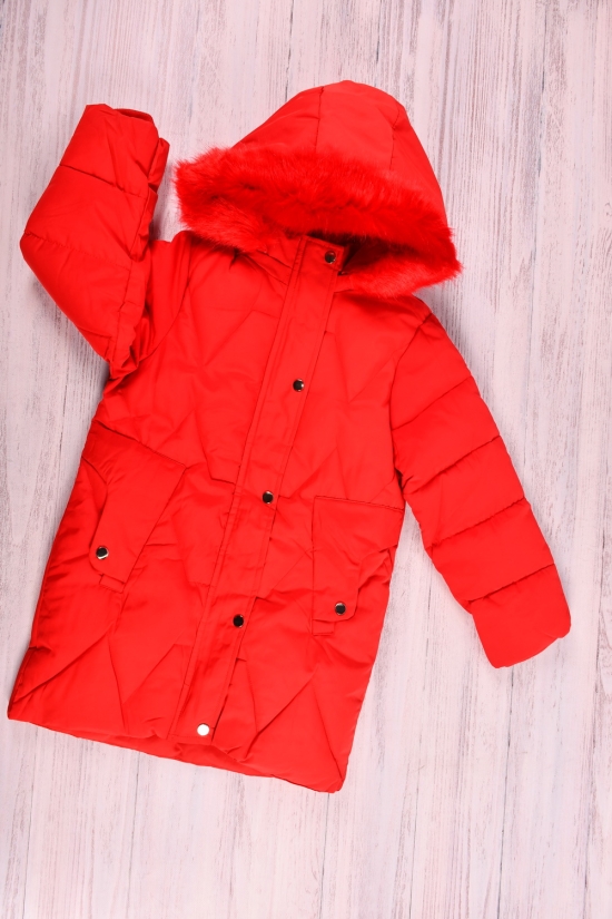 Куртка для девочки (цв.красный) из плащевки зимняя Рост в наличии : 134, 146, 152 арт.21-37