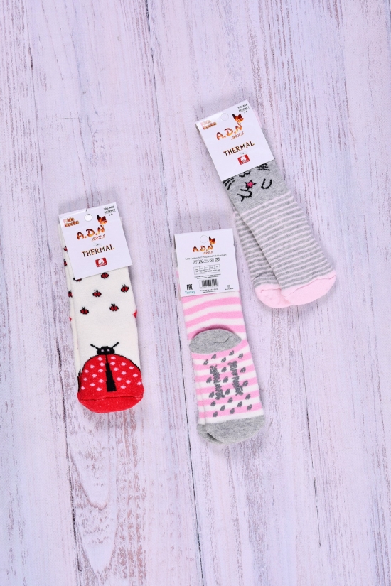 Шкарпетки для дівчинки махрові (вік 5-6 л) арт.388445