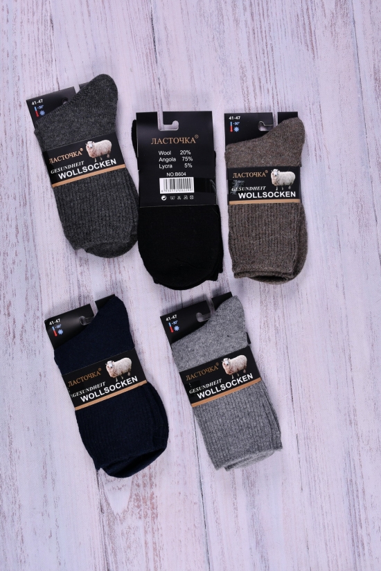 Шкарпетки чоловічі "Ластівка" розмір 41-47 (wool 20%, Angora 75%, lycra 5%) арт.B604-2