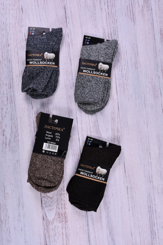 Шкарпетки чоловічі "Ластівка" розмір 41-47 (wool 20%, Angora 75%, lycra 5%) арт.B604-1