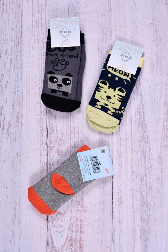 Шкарпетки для хлопчика (0) KBS розмір 12-14 арт.3-20272