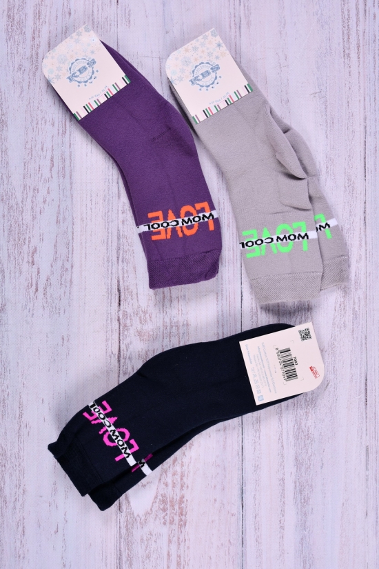 Шкарпетки махрові для дівчинки (9-10) KBS розмір 32-34 арт.3-20249