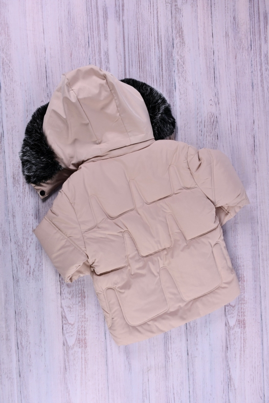Куртка для мальчика (цв.кремовый) из плащевки зимняя Рост в наличии : 128, 140, 152 арт.093