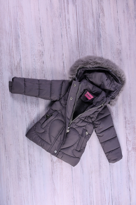 Куртка для дівчинки (кол. графітовий) з плащової тканини зимова Зріст в наявності : 86, 98, 110 арт.040