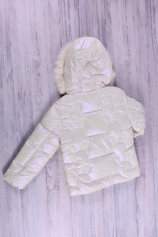 Куртка для девочки (цв.молочный) из плащевки зимняя Рост в наличии : 104 арт.133