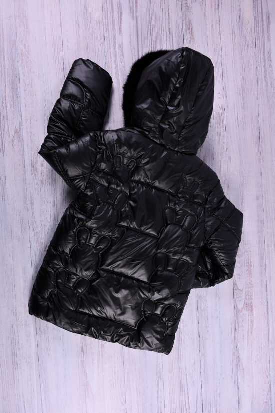 Куртка для дівчинки (кол. чорний) з плащової тканини зимова Зріст в наявності : 104, 116 арт.133