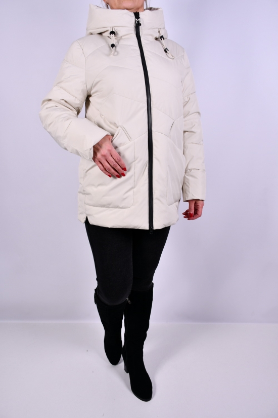 Куртка женская из плащевки зимняя (color V133) Размеры в наличии : 50, 52, 54 арт.HM9959