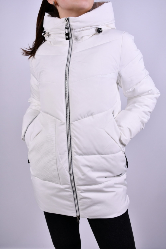 Куртка жіноча з плащової тканини зимова (color V008) Розмір в наявності : 42 арт.HM9910