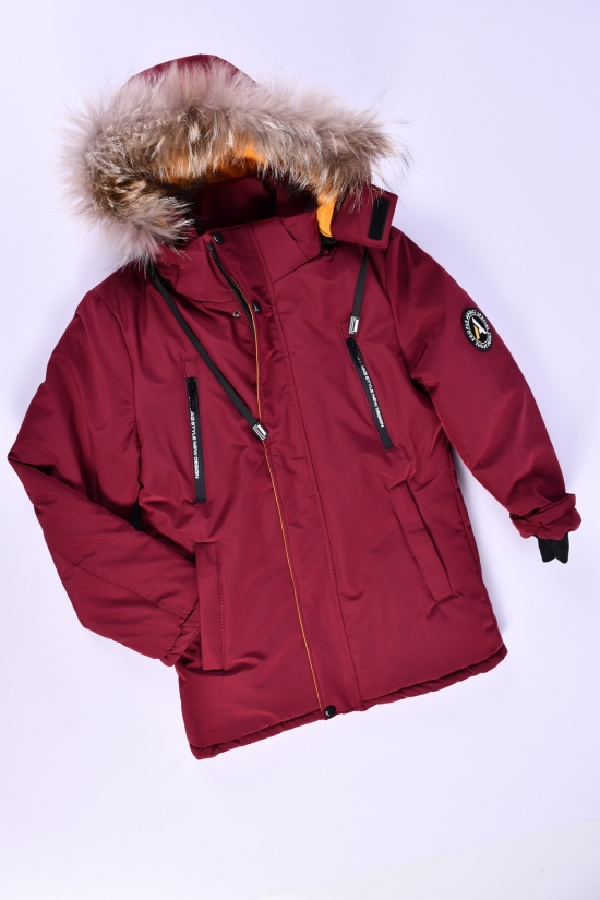 Куртка для мальчика (цв.бордовый) зимняя (100% POLYESTER) Рост в наличии : 164 арт.2308