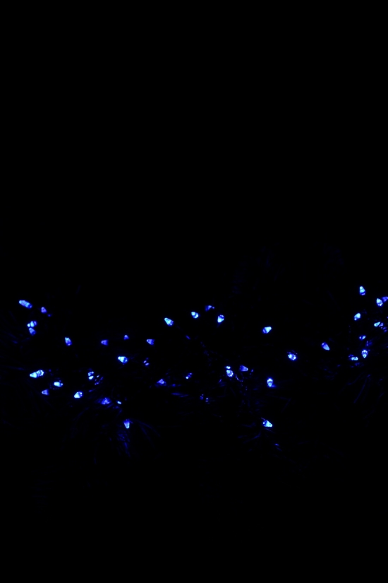 Гірлянда світлодіодна (сині вогні) чорний провід 100LED арт.LED100B-2