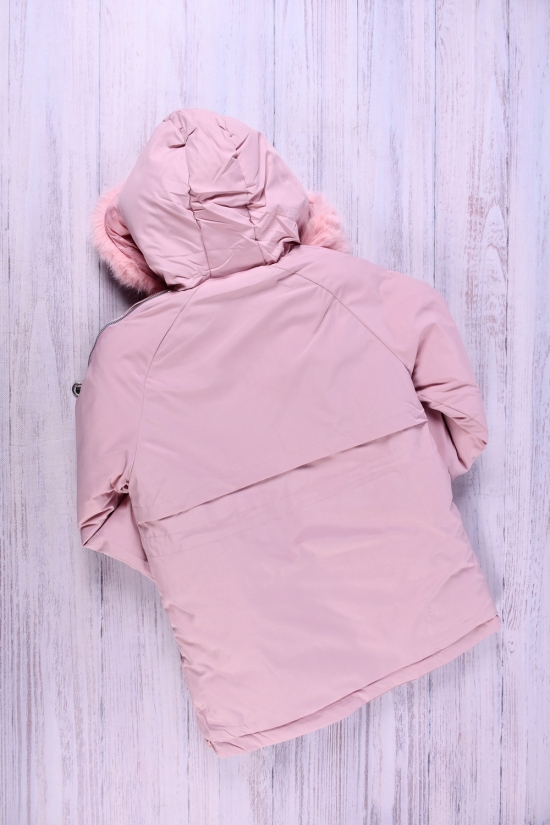 Куртка для дівчинки (цв. св. рожевий) з зимової плащової тканини. Зріст в наявності : 140, 146 арт.077