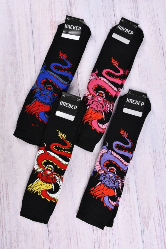 Шкарпетки жіночі махрові "Кевер" розмір 36-41 (80%бавовна 15%поліамід 5% еластан) арт.дракон