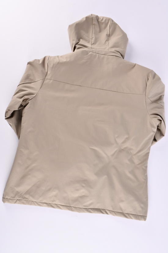 Куртка жіноча демісезонна (кол. латте) OUTDPPR Розміри в наявності : 44, 46, 48, 50, 52 арт.898