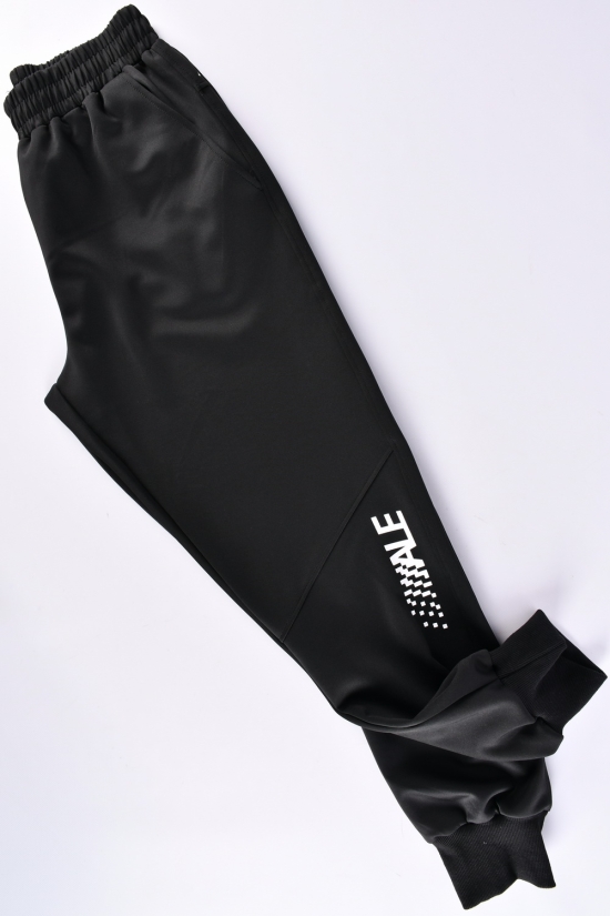 Штани чоловічі спортивні (кол. чорний) (95% Polyester 5% Spandex) "ALE" Розміри в наявності : 54, 56, 58, 60, 62 арт.901705