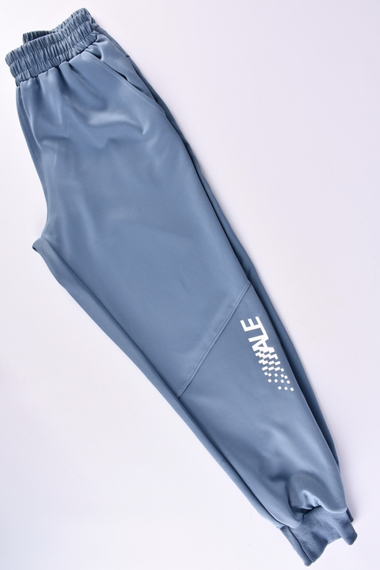 Штани чоловічі спортивні (кол. синій) (95% Polyester 5% Spandex) "ALE" Розміри в наявності : 58, 62 арт.901705