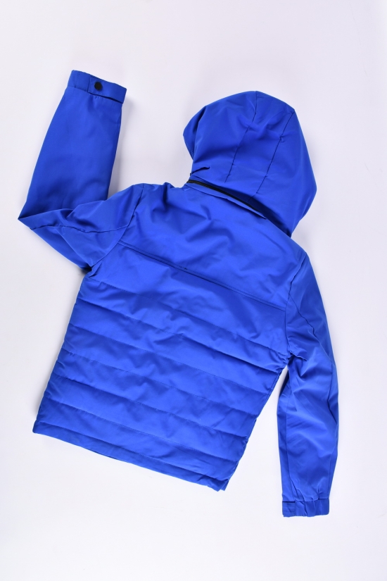 Куртка для мальчика (цв.col.2) из плащевки демисезонная "PANDA" Рост в наличии : 146, 152, 158, 164, 170 арт.L7712