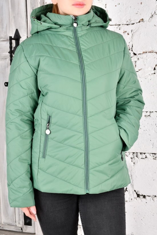 Куртка женская (цв.зеленый) из плащевки демисезонная "FINEBELL" Размеры в наличии : 46, 54 арт.2036-1H