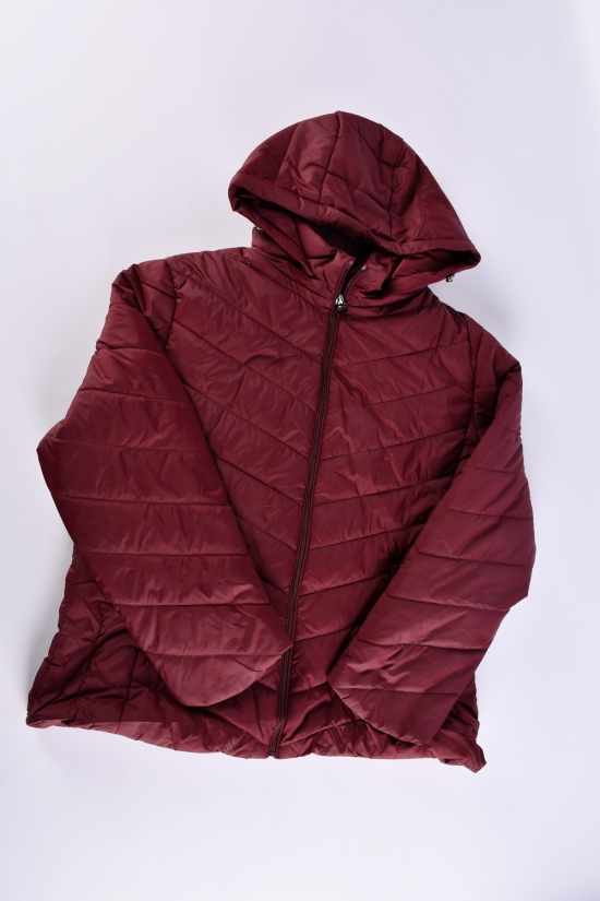 Куртка жіноча (кол. бордовий) з плащової тканини демісезонна "FINEBELL" Розміри в наявності : 44, 46, 48, 54 арт.2036-1H
